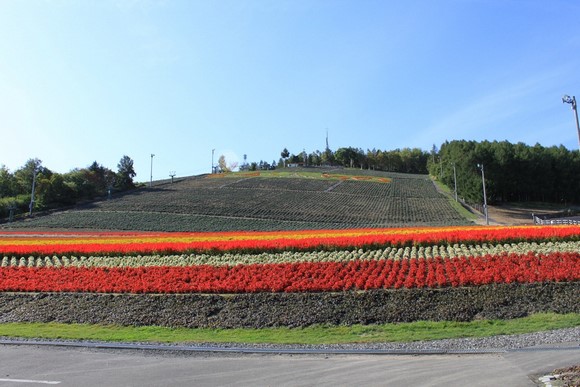 北星山町营薰衣草园1 北海道夏天自驾游Day 6行程_富良野北星山町营薰衣草园1