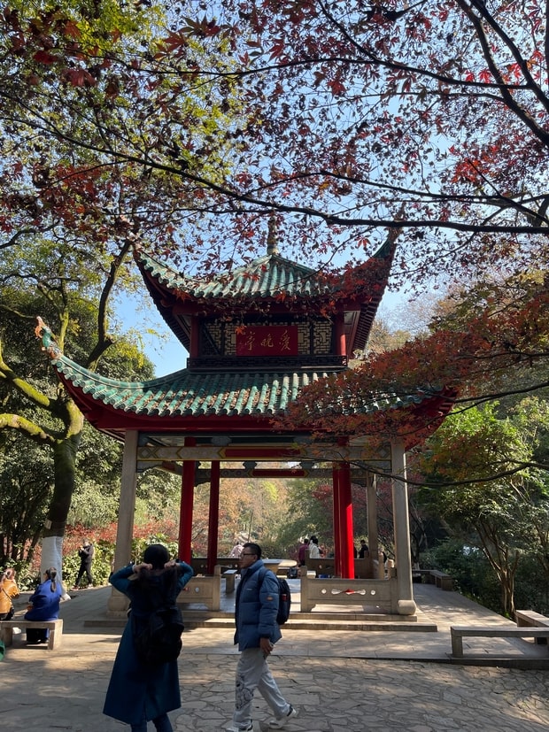 爱晚亭红叶
