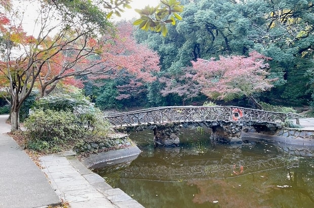 湖南烈士公园赏枫