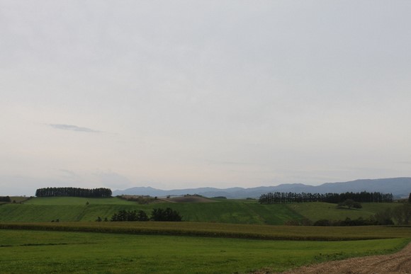 全景之路1 北海道夏天自驾游Day 7行程_美瑛全景之路1