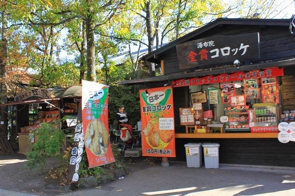 日本北九州自驾游 - Day 3_74