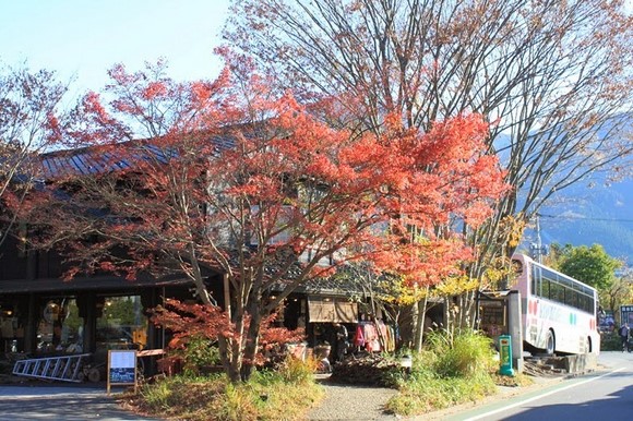 日本北九州自驾游 - Day 3_81