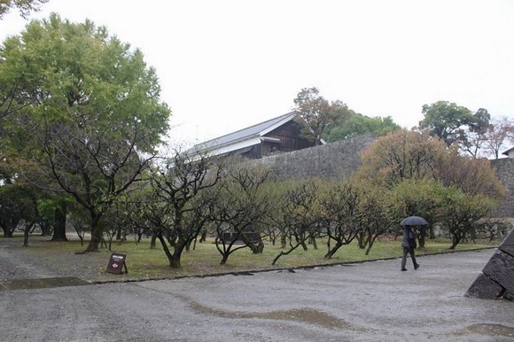 日本北九州自驾游 - Day 5_12