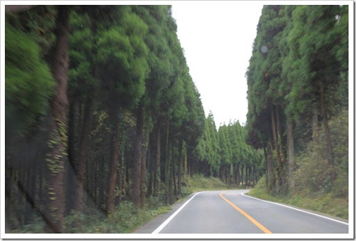 日本北九州自驾游 - Day 4_44