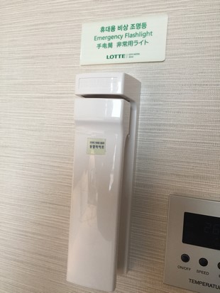 Lotte City Hotel Jeju_Room_39