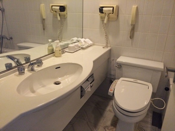 大阪难波东方酒店_房间_19