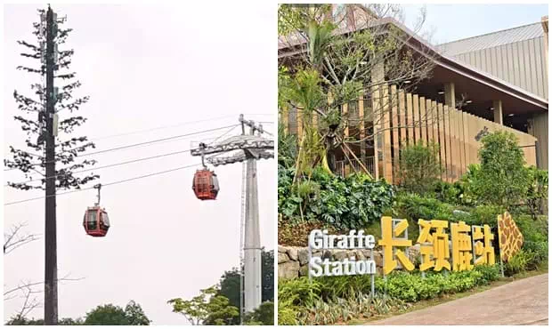 清遠長隆森林王國飛越纜車