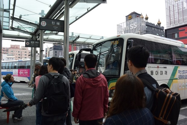 Jinhae Gunhangje Festival Bus
