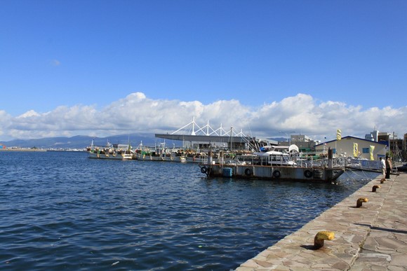 Hakodate Port Hokkaido Road Trip Day 4 Itinerary_Hakodate Port