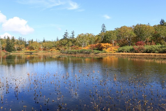 Shikotsu-ko7 Hokkaido Road Trip Day 5 Itinerary_Shikotsu-ko Autumn Foliage