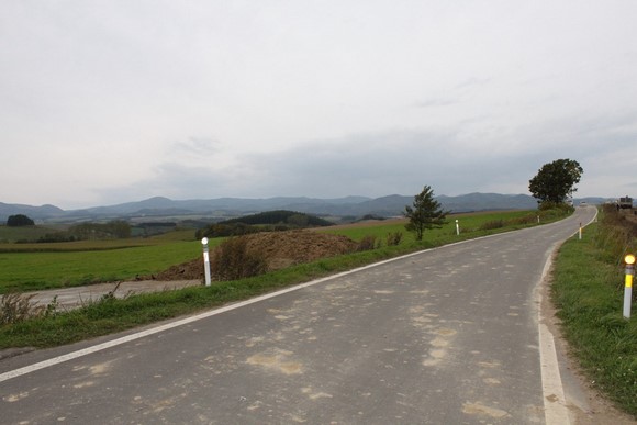 Parent and Child Trees1 Hokkaido Summer Road Trip Day 7 Itinerary_Biei Parent and Child Trees1