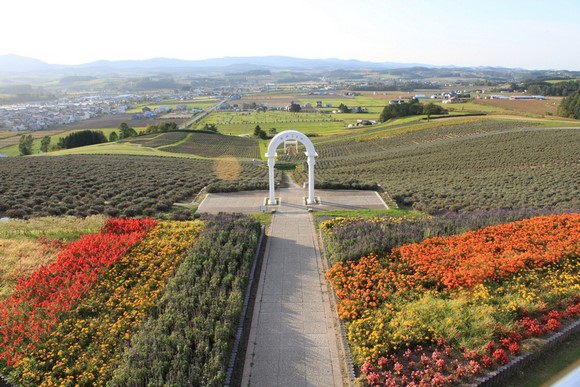 Hinode Park 1 Hokkaido Summer Road Trip Day 6 Itinerary_Furano Hinode Park 1