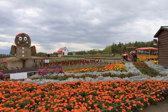 Shikisai-no-Oka2 Hokkaido Summer Road Trip Day 7 Itinerary_Biei Shikisai-no-Oka-2