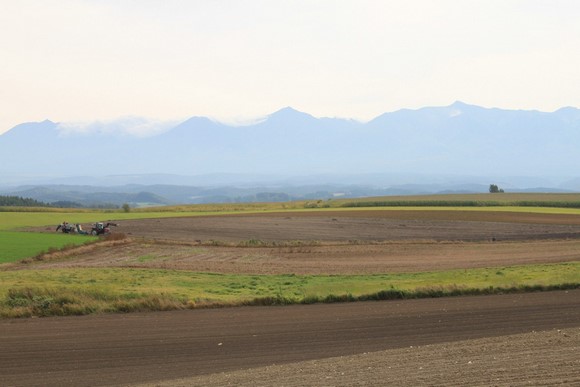 Patchwork Road1 Hokkaido Summer Road Trip Day 7 Itinerary_Biei Patchwork Road-1