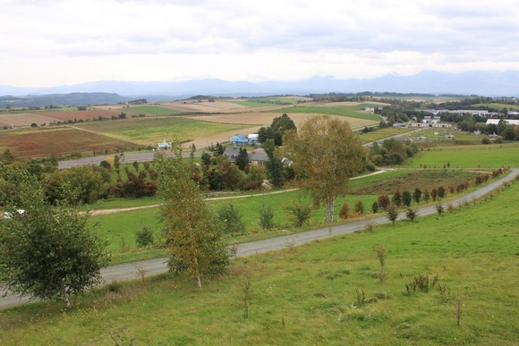 Patchwork Road3 Hokkaido Summer Road Trip Day 7 Itinerary_Biei Patchwork Road-3