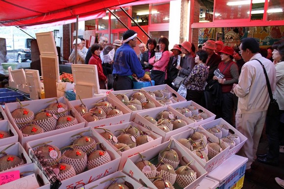 Hakodate Morning Market4 Hokkaido Road Trip Day 4 Itinerary_Hakodate Morning Market4