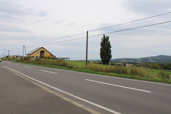Ken & Mary's Tree Hokkaido Summer Road Trip Day 7 Itinerary_Biei Ken & Mary's Tree