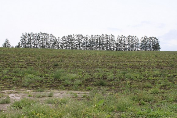 Panorama Road2 Hokkaido Summer Road Trip Day 7 Itinerary_Biei Panorama Road2