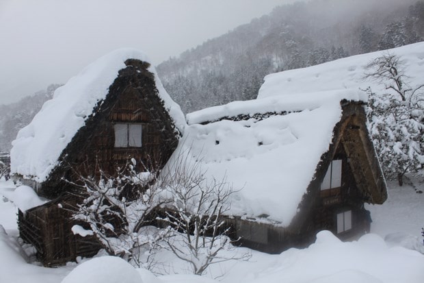 Gassho-zukuri houses in Shirakawago