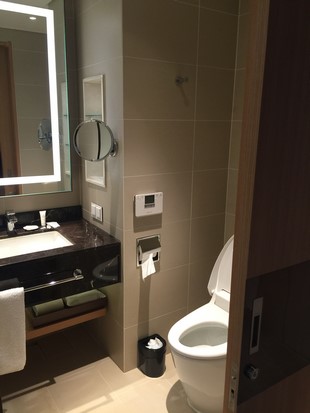 Lotte City Hotel Jeju_Room_18