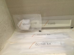 Lotte City Hotel Jeju_Room_26