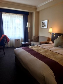 Namba Oriental Hotel Osaka_Room_13