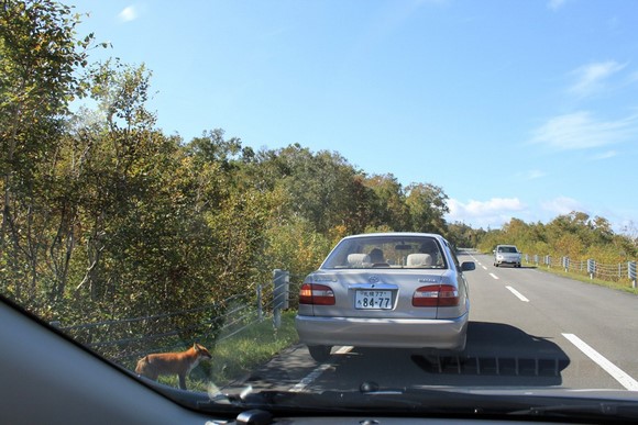 ニセコパノラマライン2 北海道レンタカー旅Day 5行程_ニセコパノラマライン