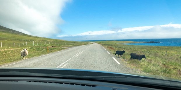 アイスランドレンタカー旅行