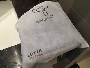 Lotte City Hotel Jeju_Room_27