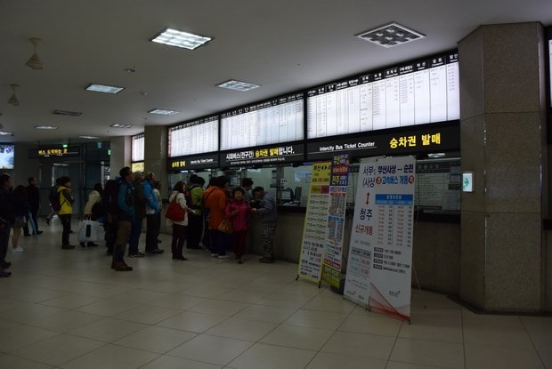진해 군항제 교통