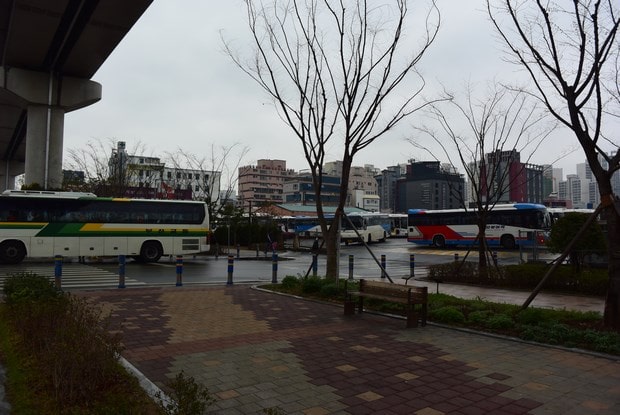 진해 군항제