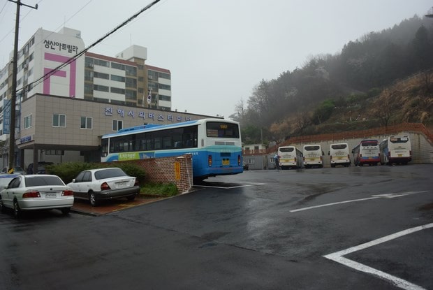 진해 군항제 교통