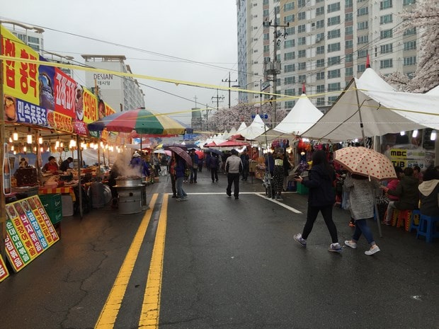 진해군항제