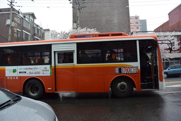 진해군항제 버스