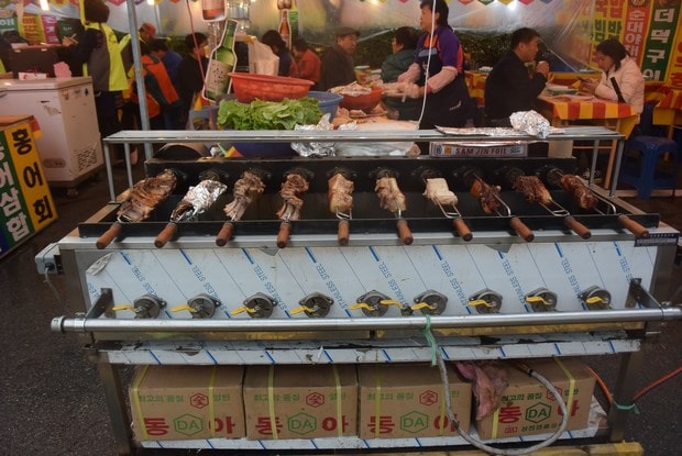 진해군항제