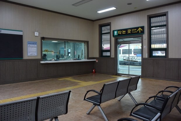진해군항제
