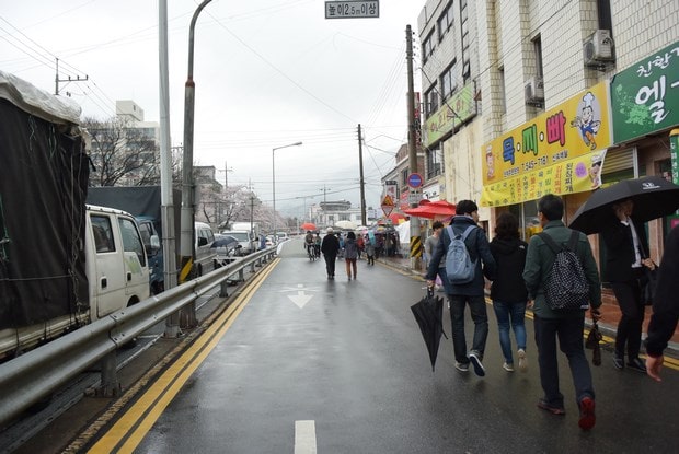 진해군항제 벚꽃 축제