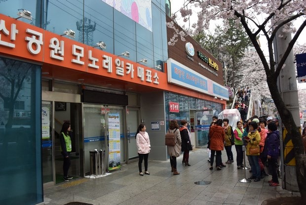 진해군항제