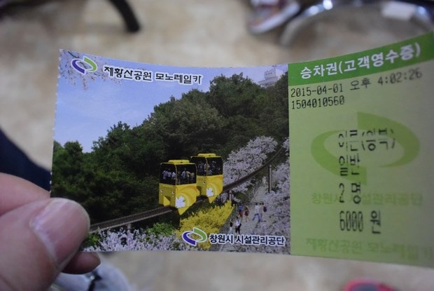 진해군항제
