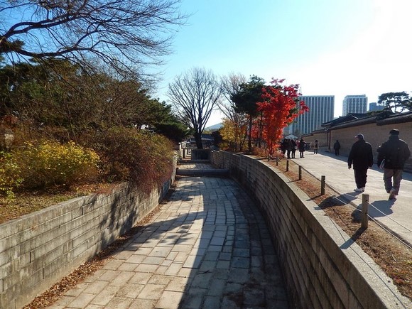 창덕궁 단풍