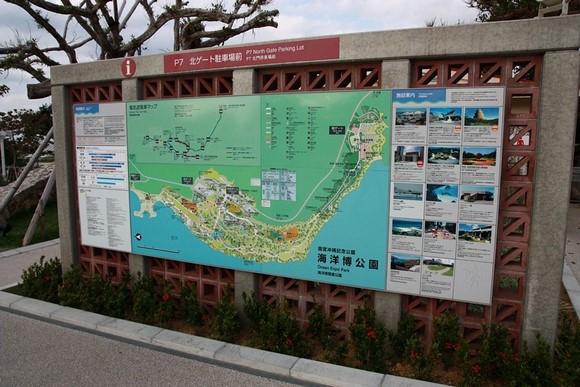 沖繩美麗海水族館_圖7