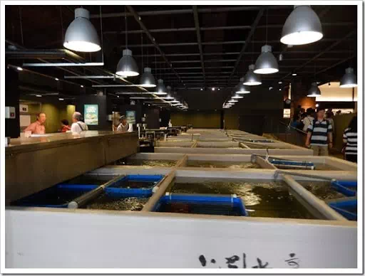 2013年台灣之旅_Day4_28 上引水產_28