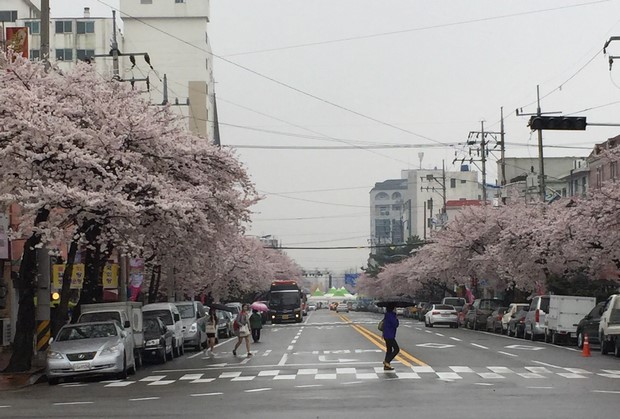 2015 Seoul Busan Trip Day4 - Part2