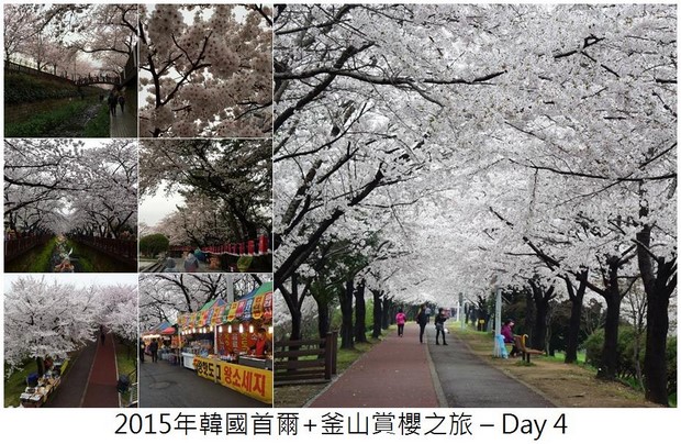 2015 Seoul Busan Trip Day4