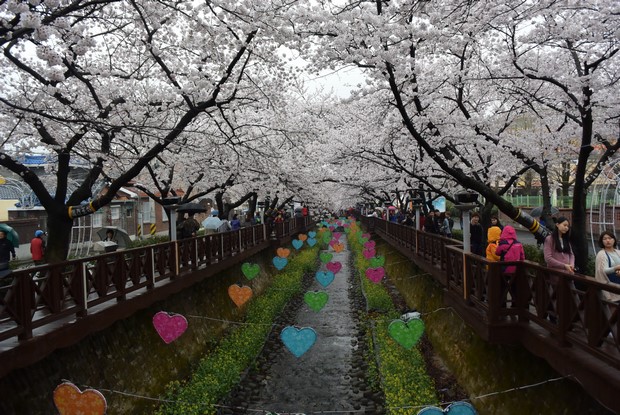 2015 Seoul Busan Trip Day4_100