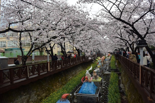 2015 Seoul Busan Trip Day4_103