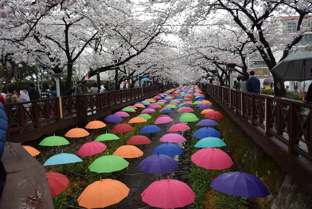2015 Seoul Busan Trip Day4_106