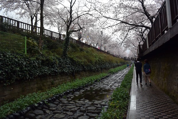 2015 Seoul Busan Trip Day4_108