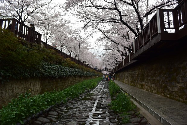 2015 Seoul Busan Trip Day4_110