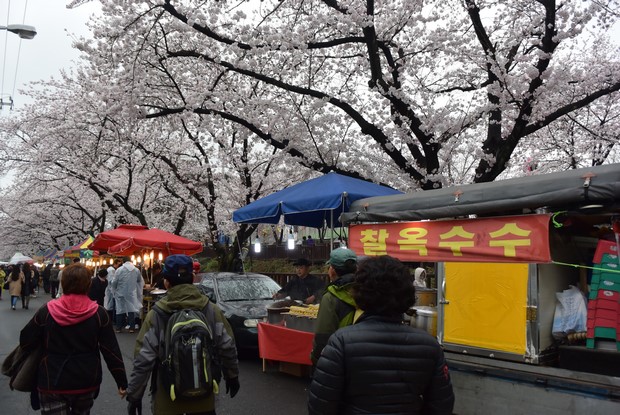 2015 Seoul Busan Trip Day4_113